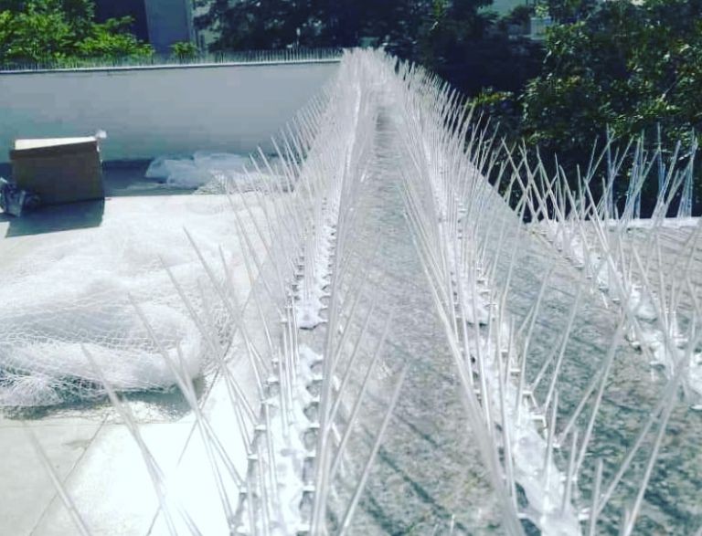 This Leader in Organic Agriculture Growth